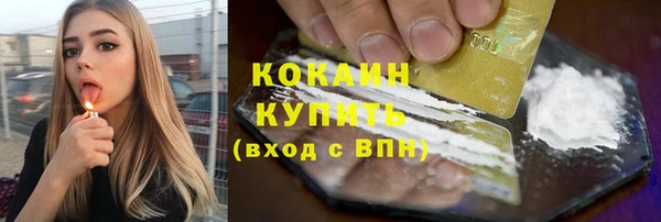 амф Елизово