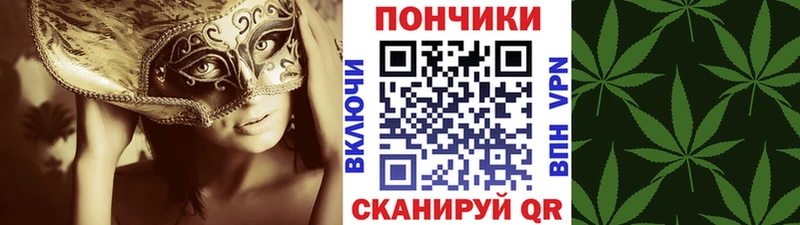 Купить где  Наро-Фоминск  Бошки Шишки THC 21% 